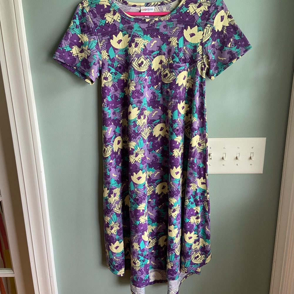 LuLaRoe multi colored carly dress size XXS